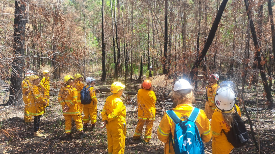 Preparing wildlife first responders for the next bushfire