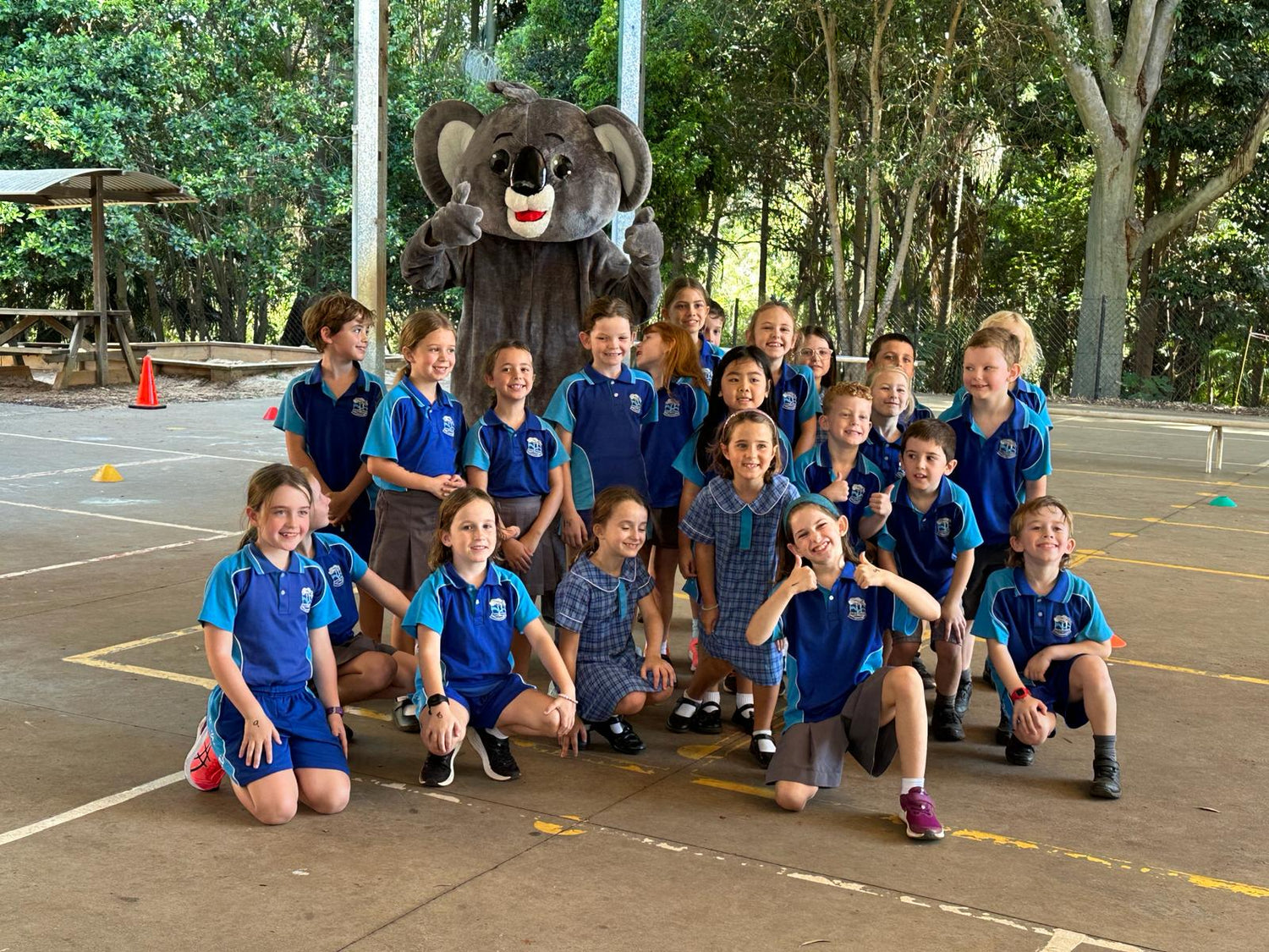 Koala incursion education primary school education
