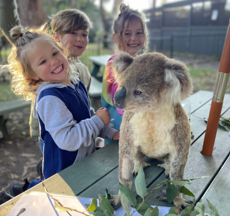 Koala Professional Development courses and education