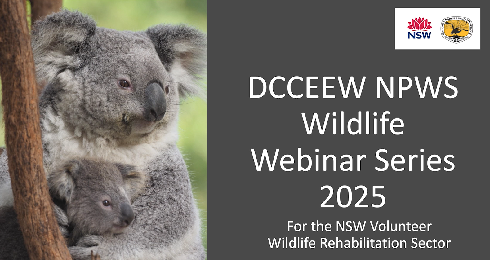 DCCEEW NPSW Wildlife Webinar Series - October 2025