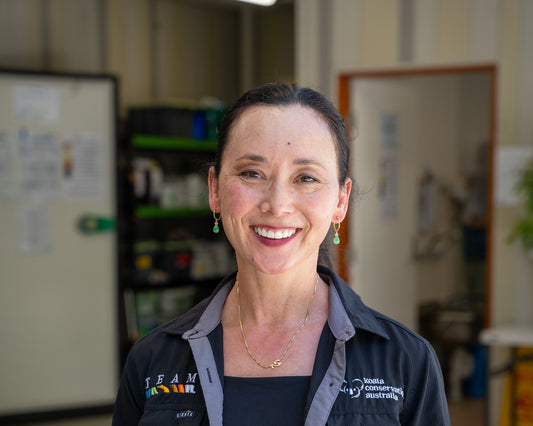 International Volunteer Year : Meet our Koala Care Volunteers