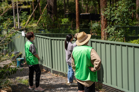 International Volunteer Year : Meet Our Wild Koala Breeding Program Volunteers