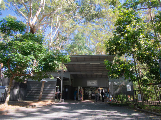 Builder Announced to Lead Port Macquarie Koala Hospital Redevelopment