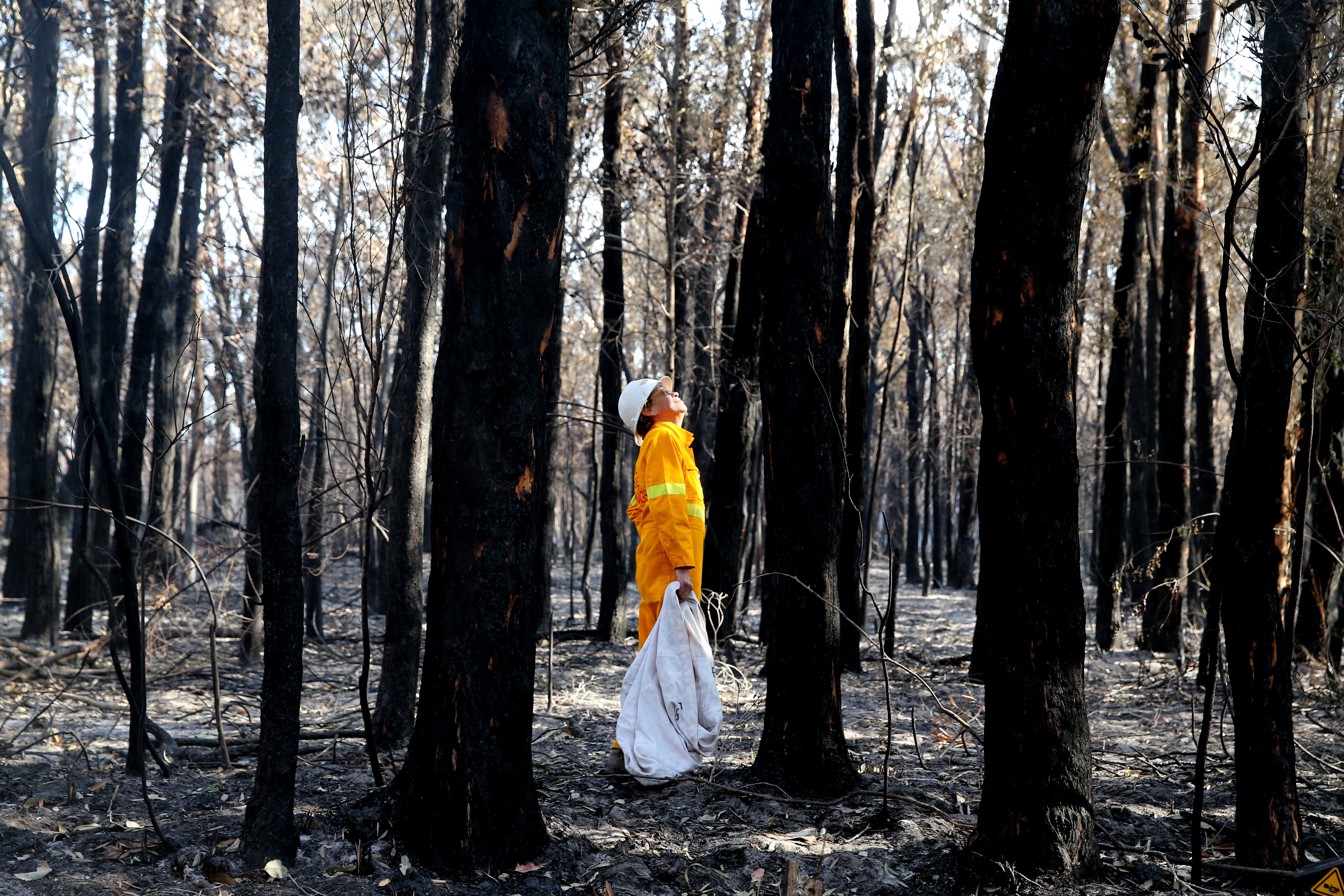 Looking Forward Looking Back : Memories of the Black Summer Bushfires 2021