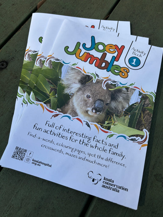 Joey Jumbles Activity Book