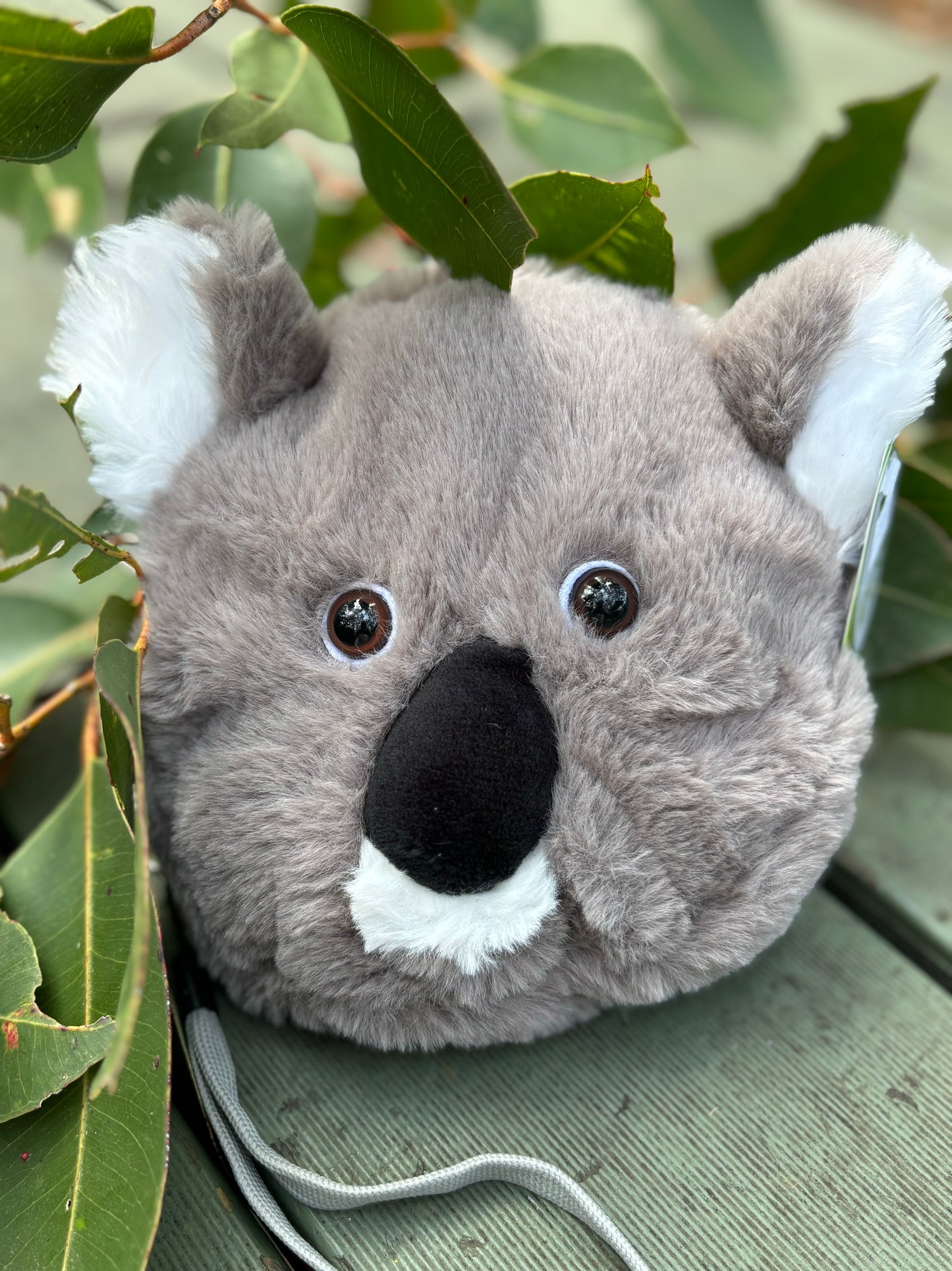 Koala Purse - Australian and Eco Friendly