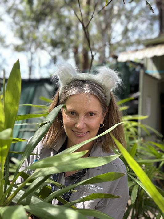 Koala headband