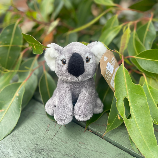 Koala Plush Toy - Eco Friendly!