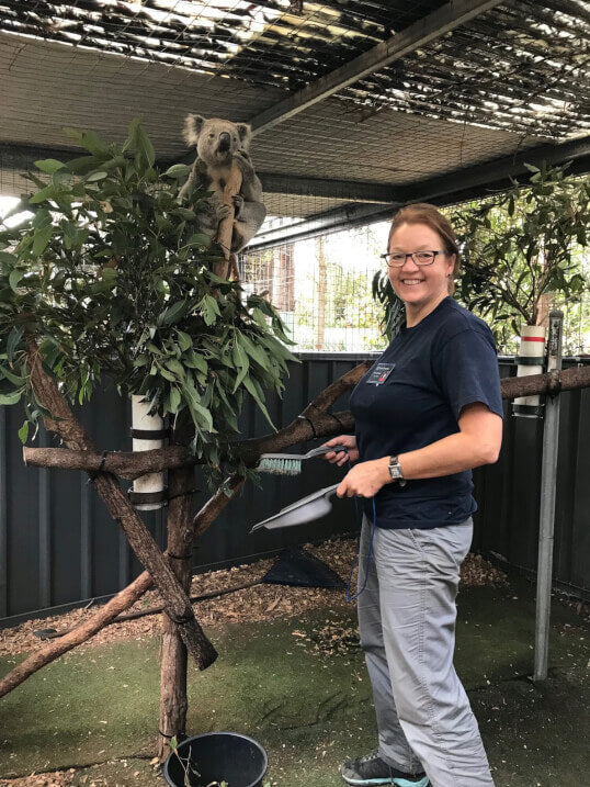 Koala Rehabilitation Online Course