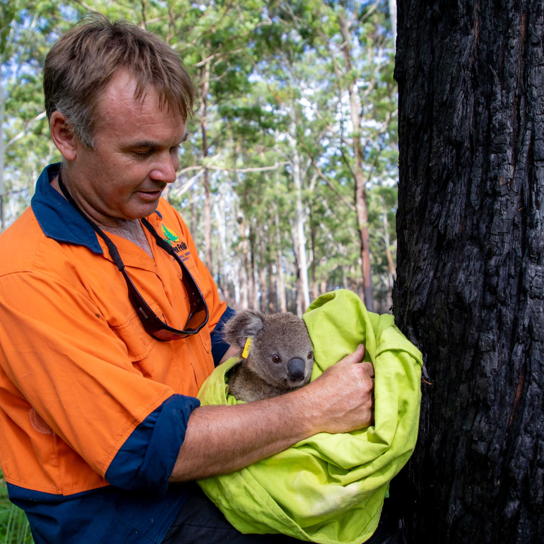 Koala Capture Bag