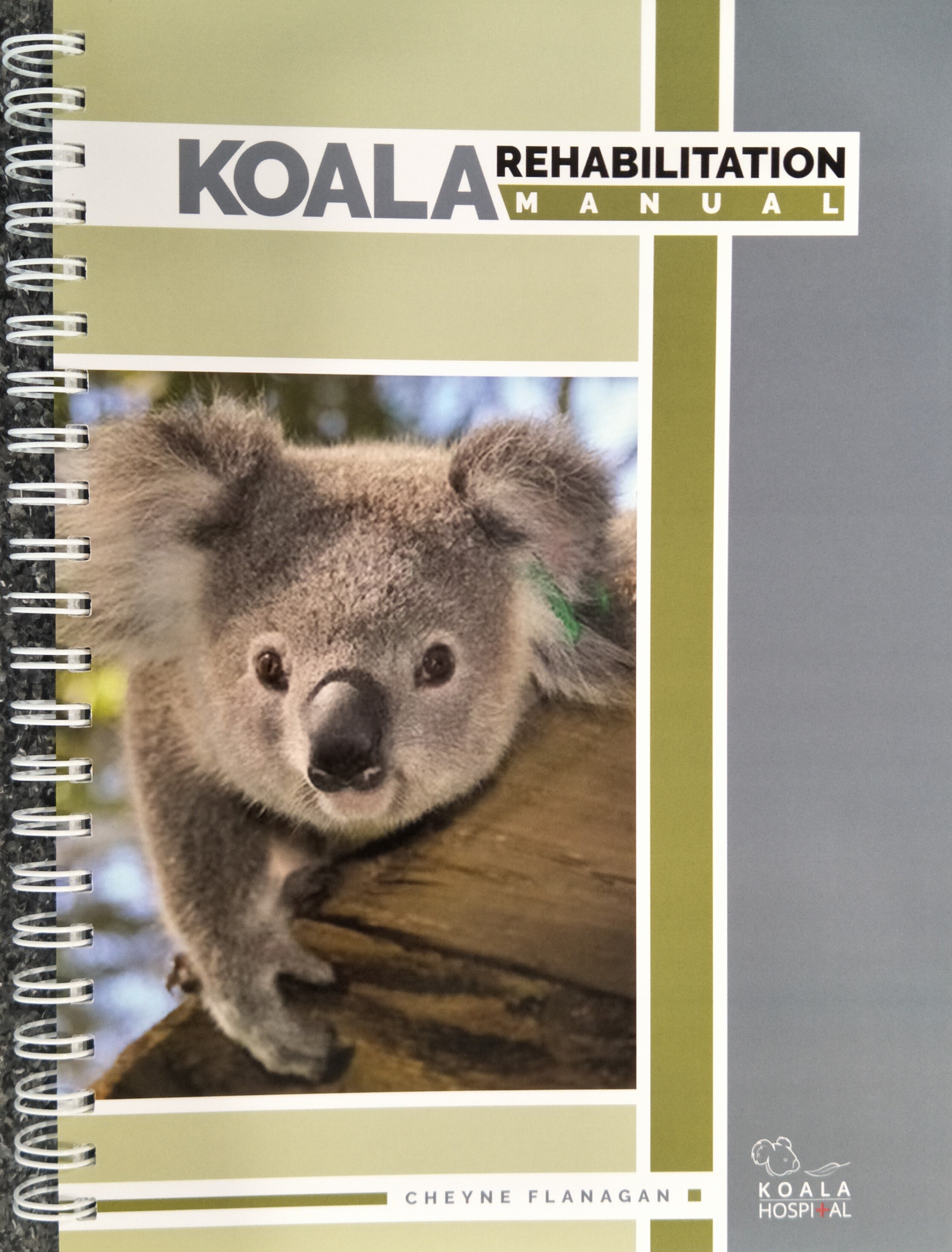 Koala